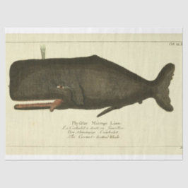 Vintage Whale Script Ephemera Decoupage Nautical