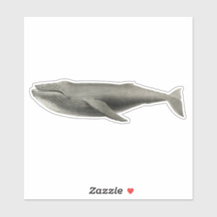 VINTAGE WHALE TRANSPARENT STICKER KLISTERMÄRKEN