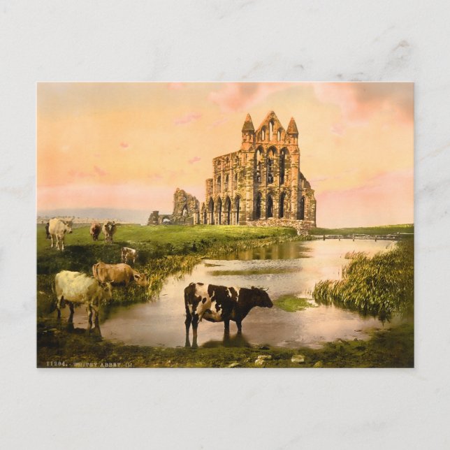 Vintage Whitby Abbey Yorkshire England Vykort (Framsida)