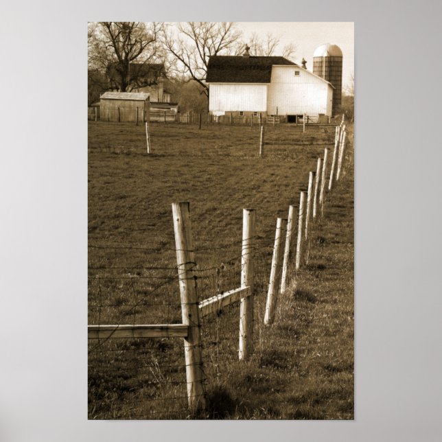 Vintage White Barn Poster (Framsidan)