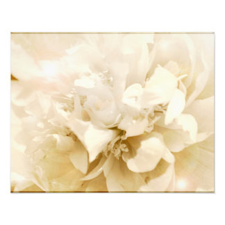 Vintage White Dahlia Flower Blommigt Photo Fototryck