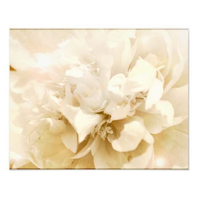 Vintage White Dahlia Flower Blommigt Photo Fototryck (Framsidan)