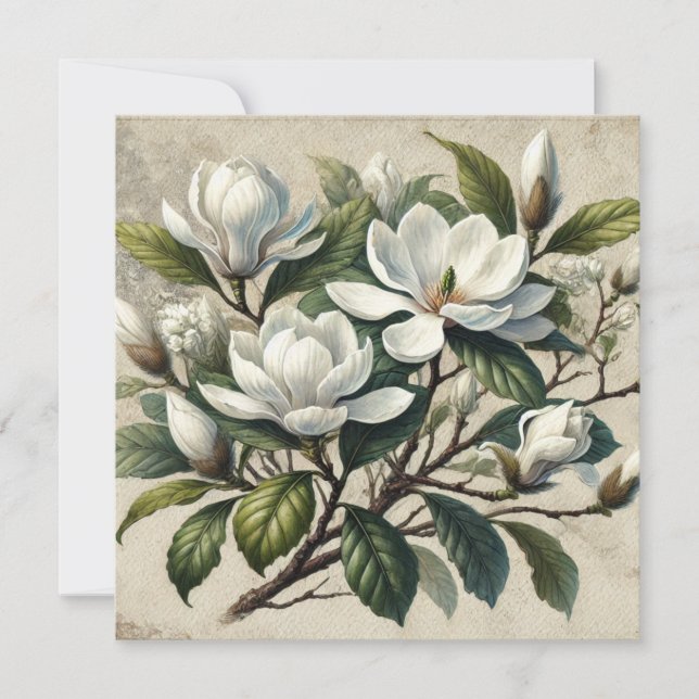 Vintage White Magnolia Botanical (Framsida)