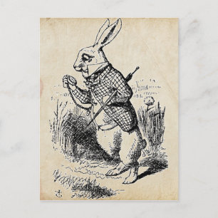 Vintage White Rabbit Vykort