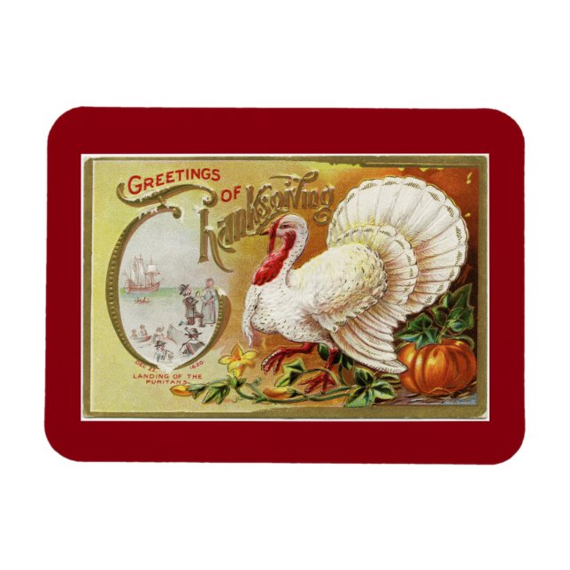 Vintage White Turkey Magnet (Horisontell)