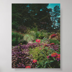 Vintage WildblomGarden Poster