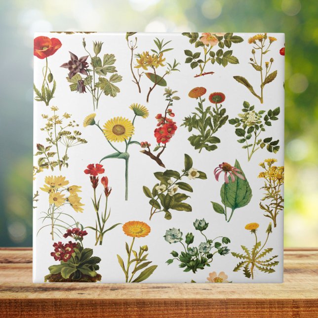 Vintage Wildblomma Seamless Mönster Kakelplatta (Skapare uppladdad)