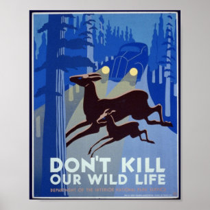 Vintage Wildlife Conservation Poster