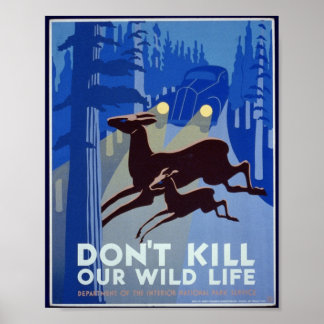 Vintage Wildlife Conservation Poster