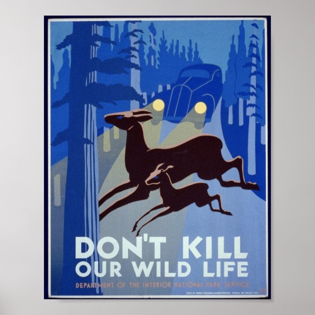 Vintage Wildlife Conservation Poster (Framsidan)