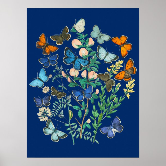 Vintage Wildlife Illustration - Butterfly Garden Poster (Framsidan)