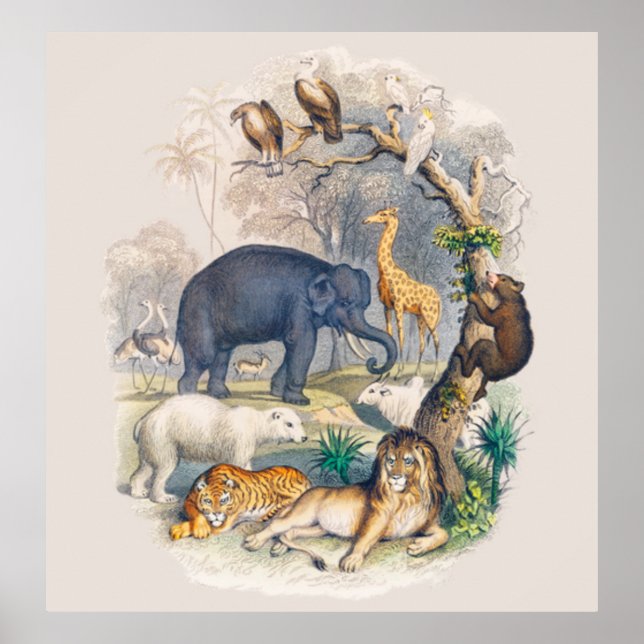 Vintage Wildlife in Nature Art Poster (Framsidan)