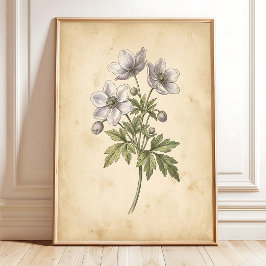 Vintage Windflower Blommig Inramad Väggkonst