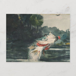 Vintage Winslow Homer Life-Storlek Black Bass Vykort