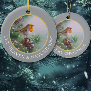 Vintage Winter Bird Let Nature Sjunga Julgransprydnad Keramik