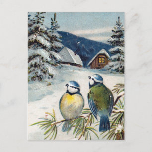 Vintage Winter Birds Vykort