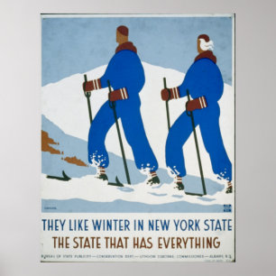 Vintage Winter Sport i New York Poster