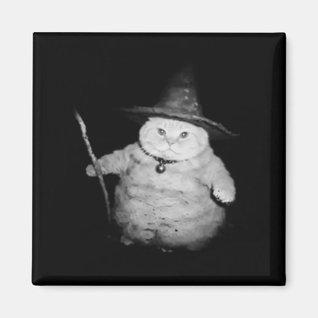 Vintage Wizard Cat Konstig Funny Halloween KettPM Magnet (Framsidan)