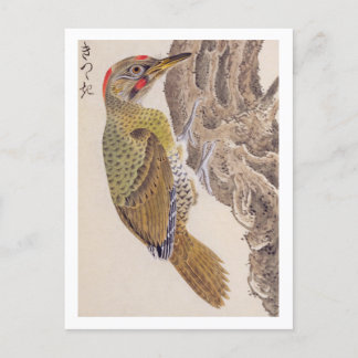 Vintage: Woodpecker Vykort