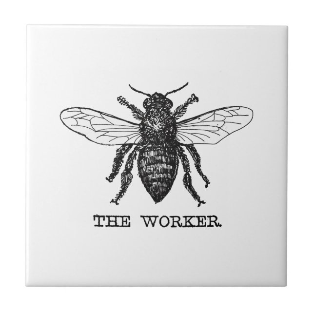 Vintage Worker Bee Illustration Art Kakelplatta (Framsidan)