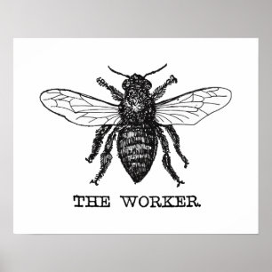 Vintage Worker Bee Illustration Art Poster