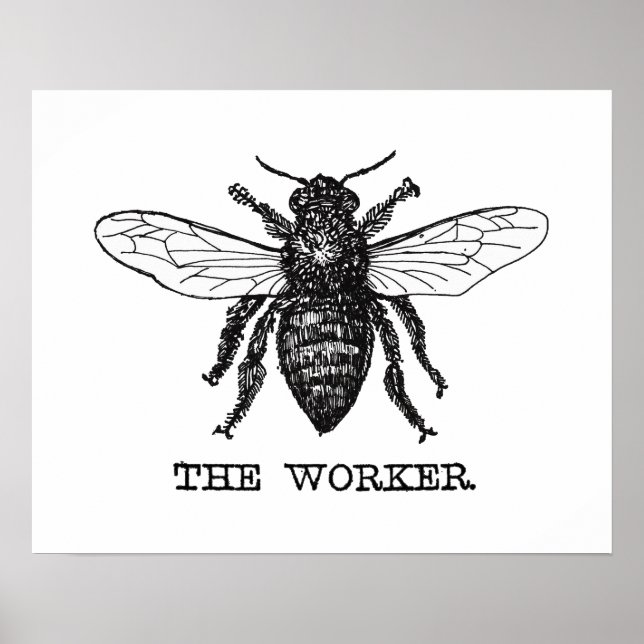 Vintage Worker Bee Illustration Art Poster (Framsidan)