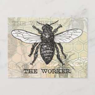 Vintage Worker Bee Illustration Art Vykort