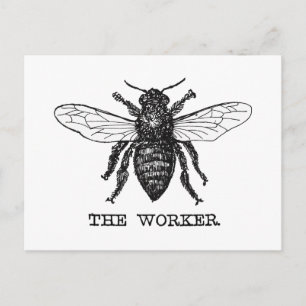 Vintage Worker Bee Illustration Art Vykort