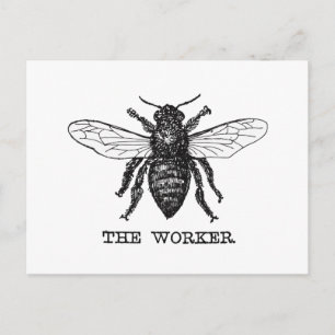 Vintage Worker Bee Illustration Art Vykort
