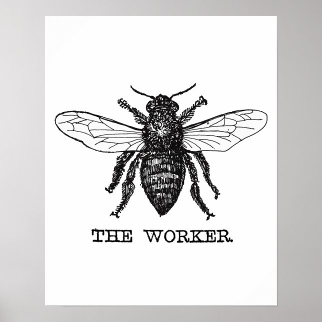 Vintage Worker Bee Illustration Poster (Framsidan)