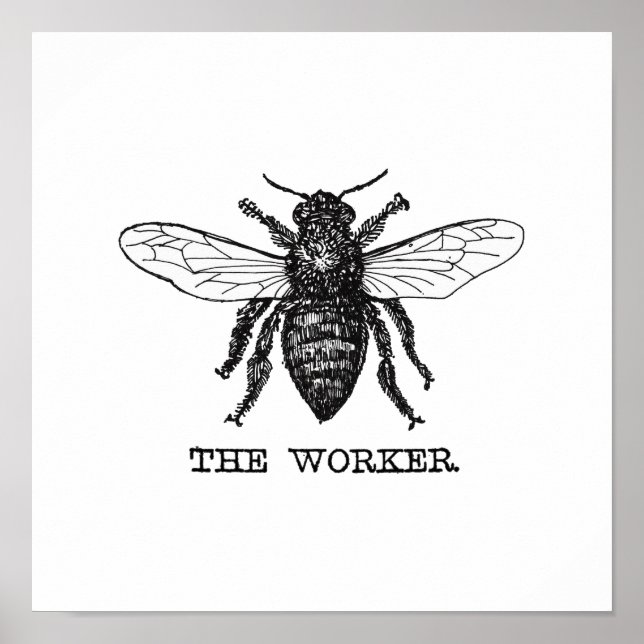 Vintage Worker Bee Illustration Poster (Framsidan)