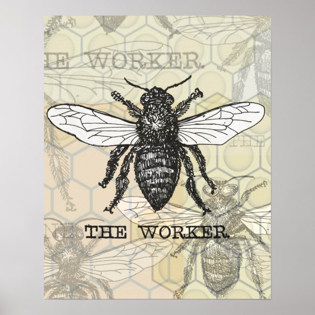 Vintage Worker Bee Illustration Poster (Framsidan)