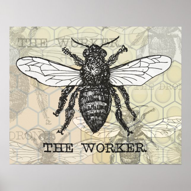 Vintage Worker Bee Illustration Poster (Framsidan)