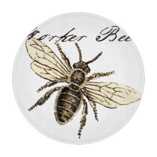 Vintage Worker Bee Insekt Illustration Antique