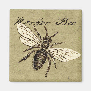 Vintage Worker Bee Insekt Illustration Antique Magnet