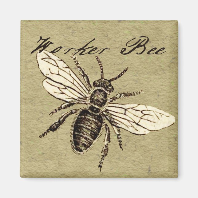 Vintage Worker Bee Insekt Illustration Antique Magnet (Framsidan)