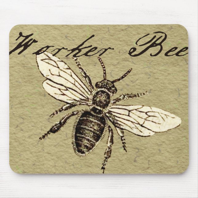 Vintage Worker Bee Insekt Illustration Antique Musmatta (Framsidan)