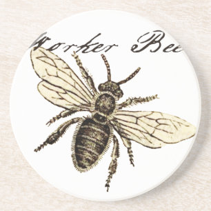 Vintage Worker Bee Insekt Illustration Antique Underlägg