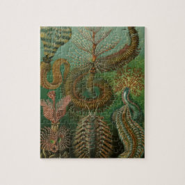 Vintage Worms Annelider Chaetopoda av Ernst Haecke Pussel