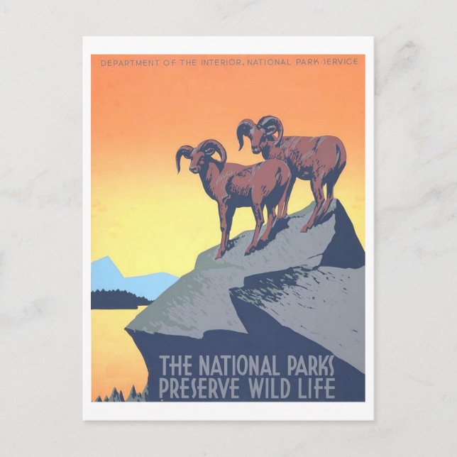 Vintage WPA Poster: Vilda djur vykort (Framsida)