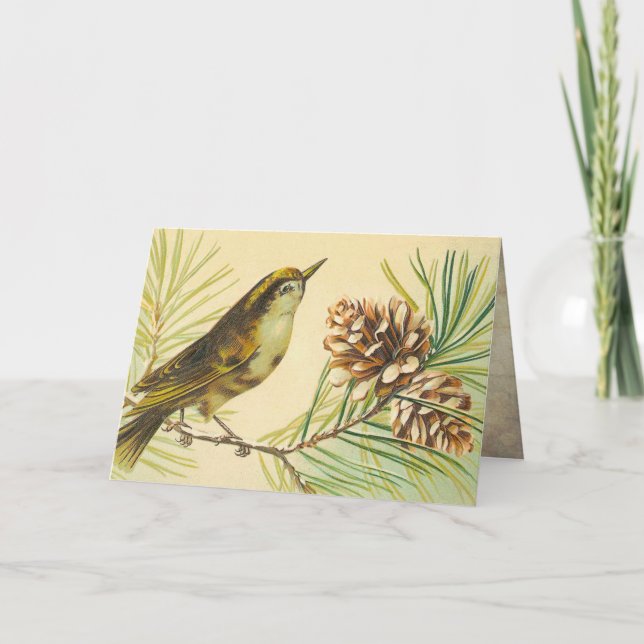 Vintage Wren Birthday Card Kort (Framsida)