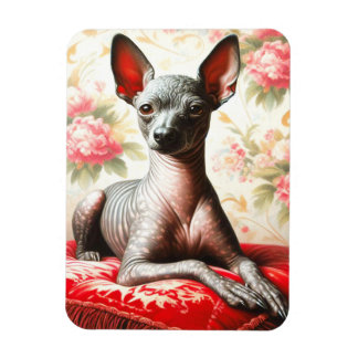 Vintage Xoloitzcuintle Illustration Magnet