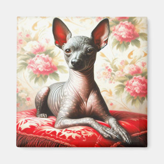 Vintage Xoloitzcuintle Illustration Magnet
