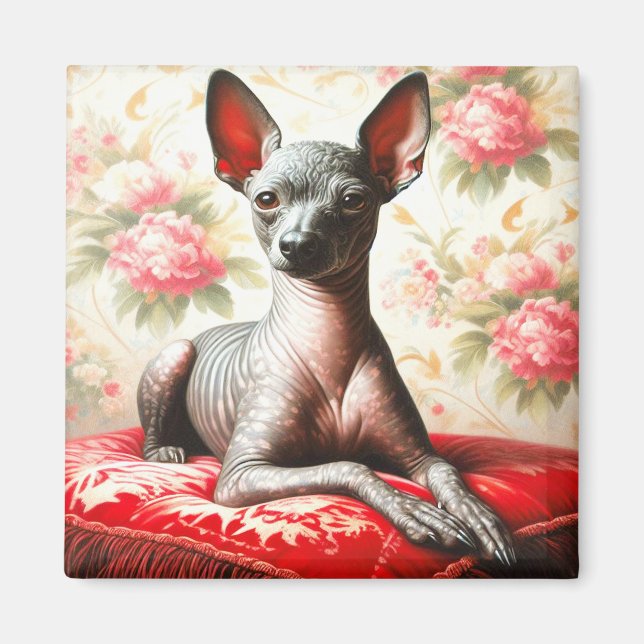 Vintage Xoloitzcuintle Illustration Magnet (Framsidan)