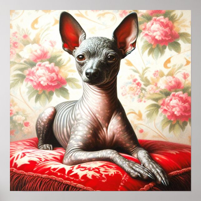 Vintage Xoloitzcuintle Illustration Poster (Framsidan)