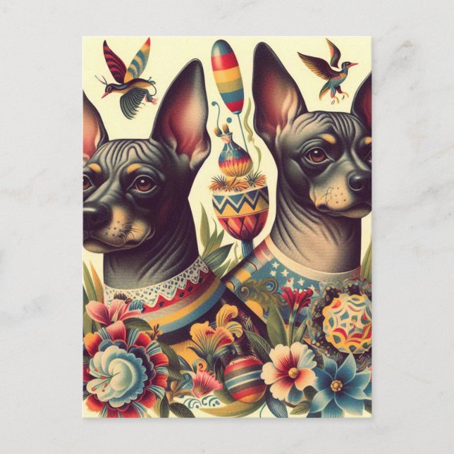 Vintage Xoloitzcuintle Illustration Vykort (Framsida)