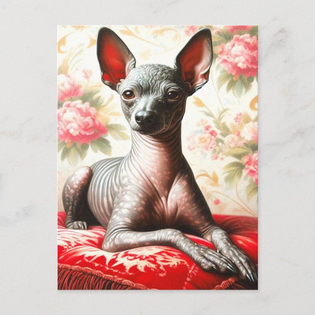 Vintage Xoloitzcuintle Illustration Vykort (Framsida)