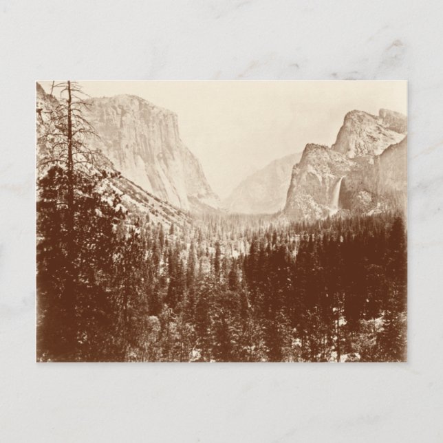 Vintage Yosemite nationalpark Vykort (Framsida)