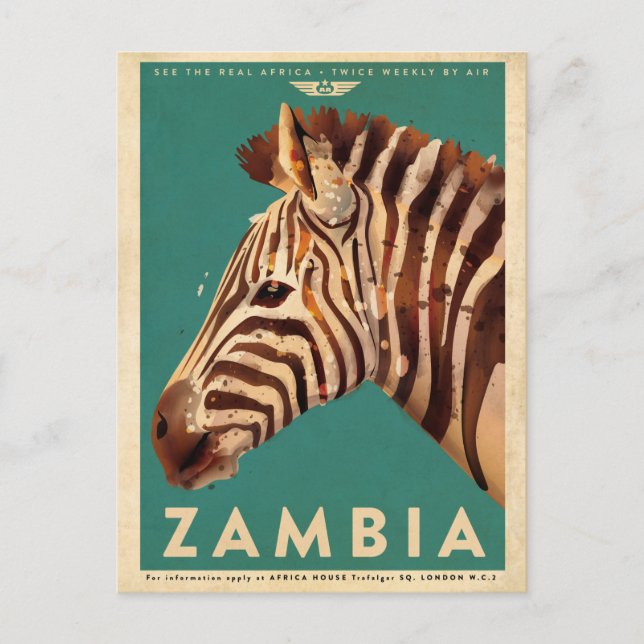 Vintage Zambia Zebra Travel Vykort (Framsida)