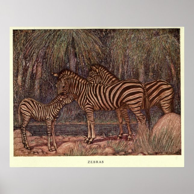 Vintage Zebra Painting (1909) Poster (Framsidan)